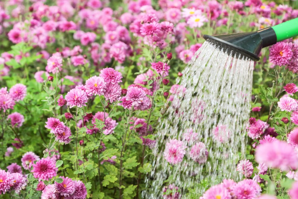 Watering Solutions